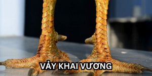 Vảy Khai Vương - Dấu Hiệu Nhận Biết Thần Kê Dũng Mãnh